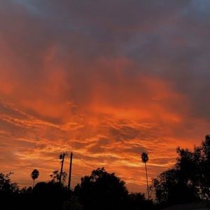 Meet your Posher, Elijah